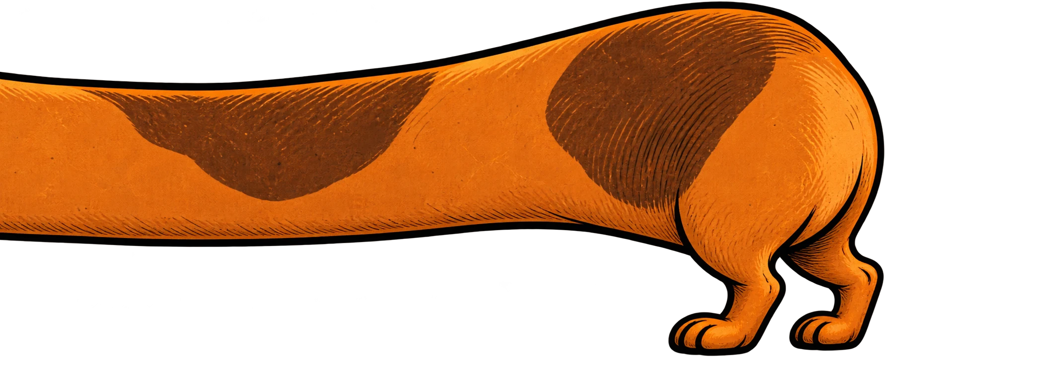 Long Dog's rump with two rear legs